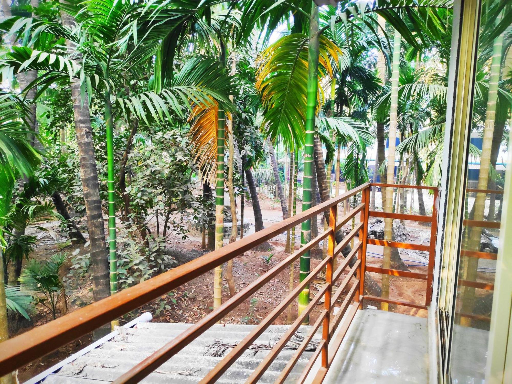 Ashish Baug Cottage Alībāg Værelse billede